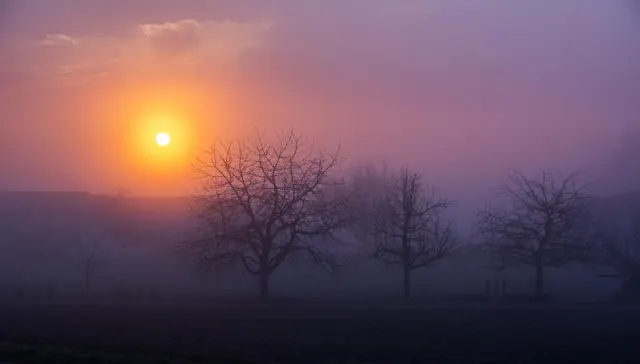 Sun rising over misty fields and trees
